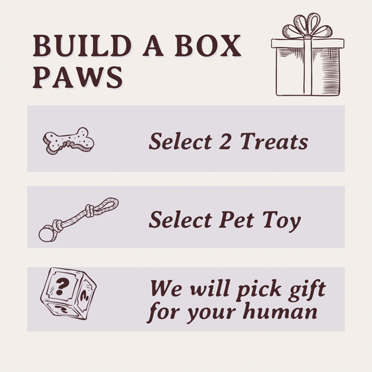 Build A Box (Paws)