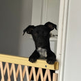 Load image into Gallery viewer, Donate to Support Delia