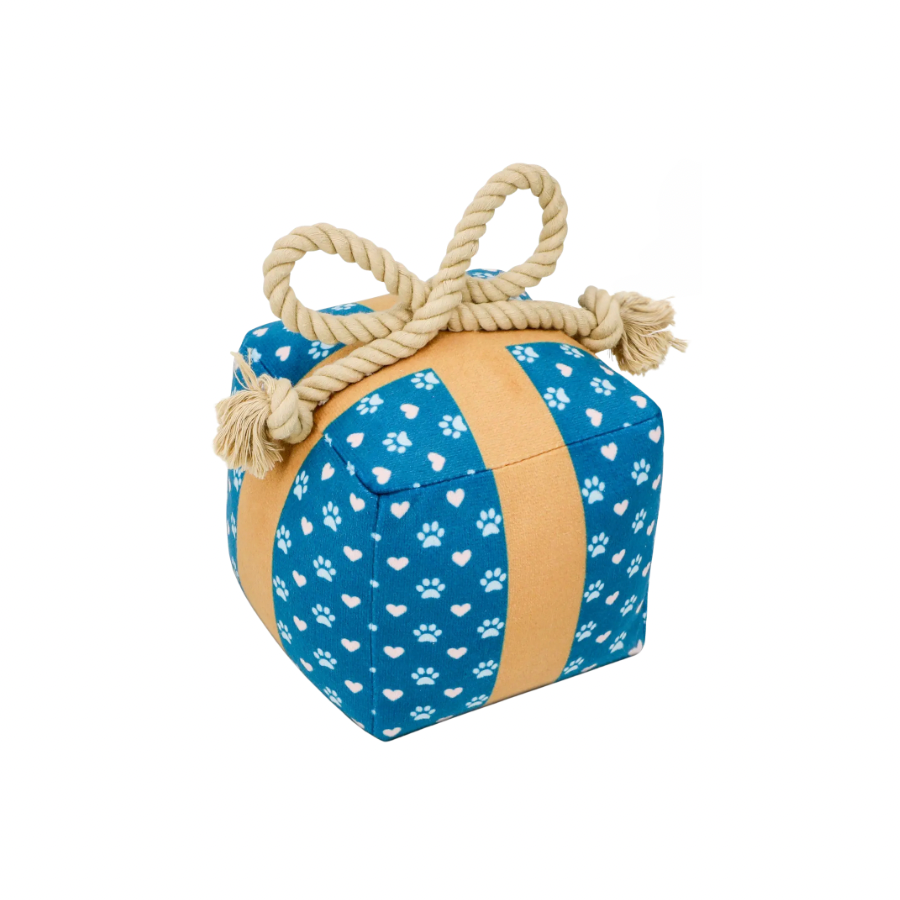Gift Box Squeaky Dog Toy