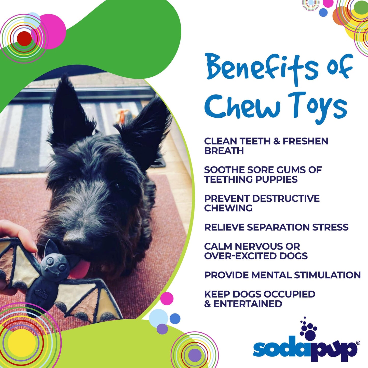 SodaPup Dog Toys - Vampire Bat Nylon Dog Chew Toy for Aggressive Chewers | USA Made & FDA Compliant