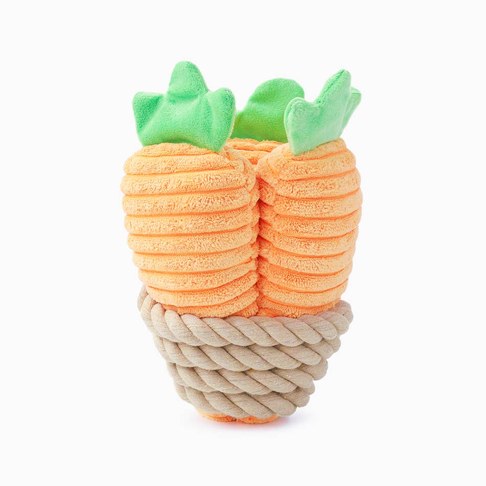 Carrot Bunch Rope (Dog Toy)