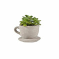 Load image into Gallery viewer, Concrete "Tea & Coffee" Cup Planter

