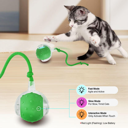 Interactive ball (Cat Toy)