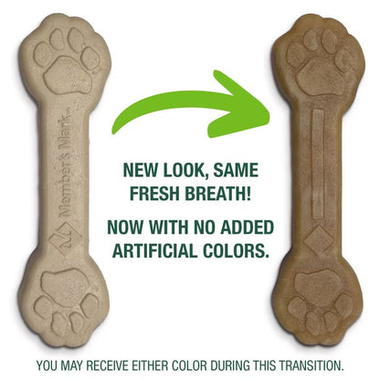 Lolli Pop Dental Chew (Dog Treats)