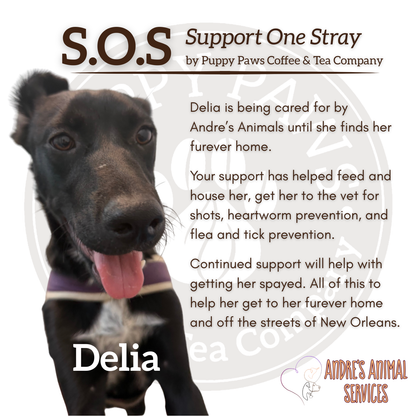 Donate to Support Delia