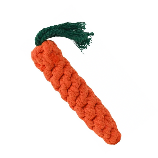 Carrot Rope (Dog Toy)
