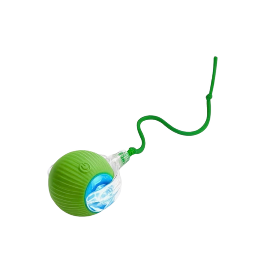 Interactive ball (Cat Toy)