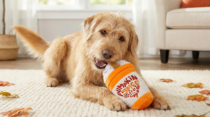Paw-Fect Piece - Paw-Fect Piece - Pumpkin Spice Cup Dog Squeaky Plush Toy