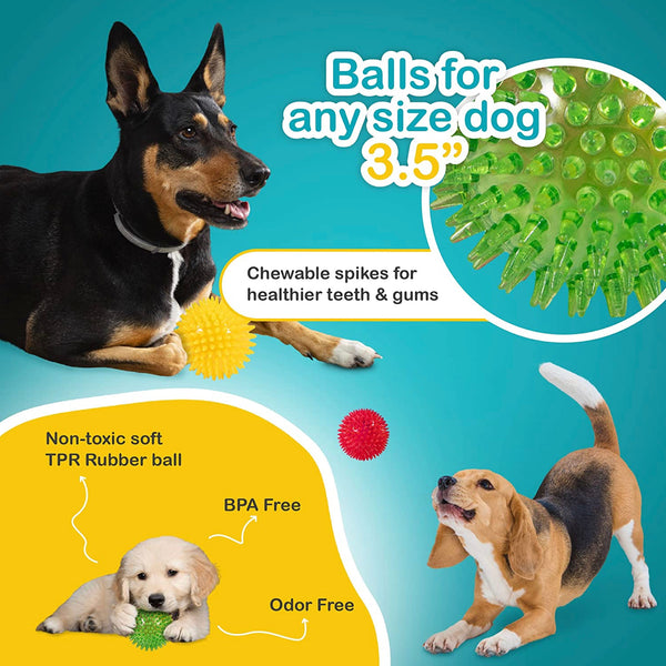 Spikey Dog Balls (Squeaky Dog Toys)