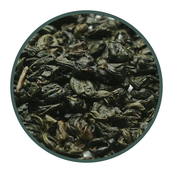 Ragdoll - Gunpowder (Green Tea)